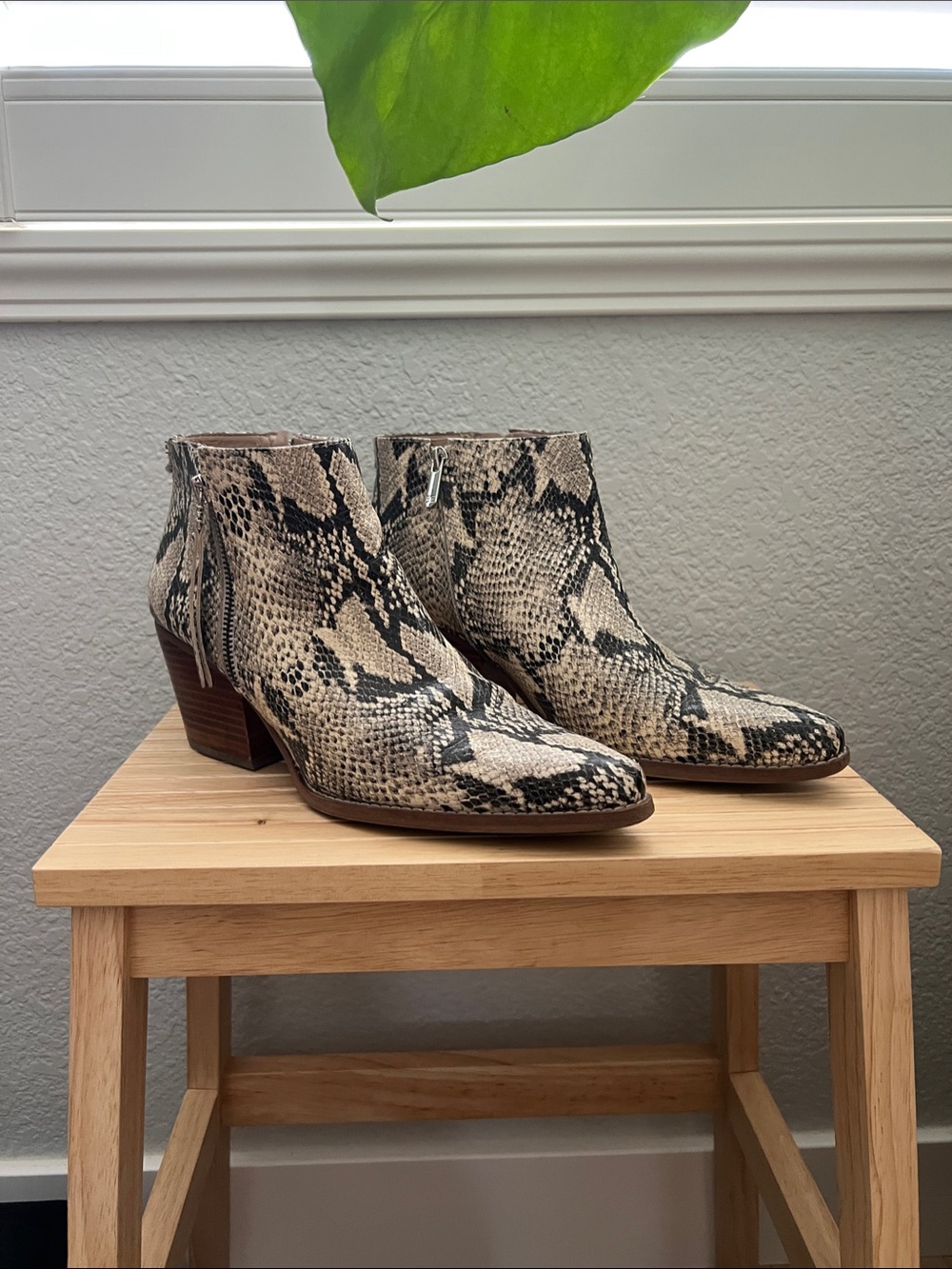 Sam Edelman Snake Print Leather Ankle Boots